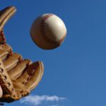 Delegating-iStock_0000013445